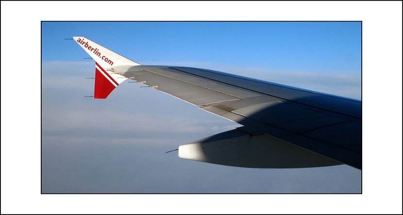 fluegel