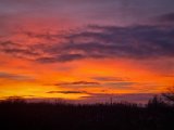 20220113_164345.jpg