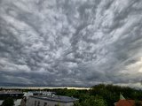 20220525_191516.jpg