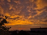 20220723_051729.jpg