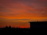 20220831_055627.jpg