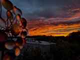 20220908_192304.jpg