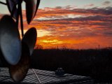 20221125_161534.jpg