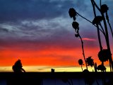 20230113_073523.jpg