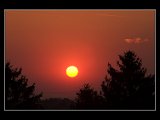 CRW_2019-01.jpg