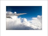 Fly2.jpg