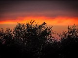 IMG_0446_jpg_small.jpg