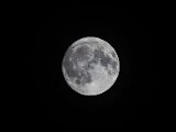 IMG_0526_jpg_small_v2_mond.jpg
