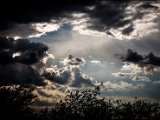 IMG_0797_small.jpg