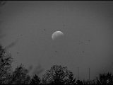 IMG_0978-2_jpg_small_moon.jpg