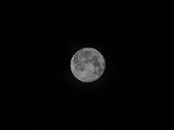 IMG_1074 mond jpg small.jpg