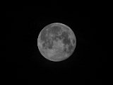 IMG_1074-2 mond jpg small.jpg
