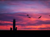 IMG_1366_small.jpg