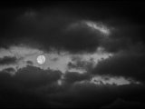 IMG_1789_mond_small.jpg