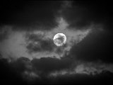IMG_1798_mond_small.jpg