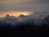 IMG_1815.CR2