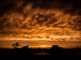 IMG_2076-2_small.jpg