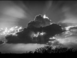 IMG_2098_jpg_cloud_small.jpg
