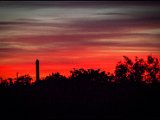 IMG_2279_jpg_small.jpg