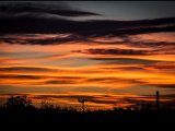 IMG_2447_jpg_small.jpg