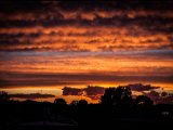 IMG_3087_jpg_small.jpg