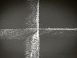 IMG_3526_large.jpg
