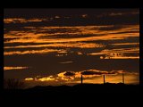 IMG_6113-01.jpg