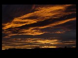 IMG_6114-01.jpg