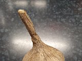 20191006_225631.jpg