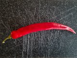20220123_130301.jpg