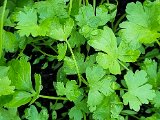 20220623_143000.jpg