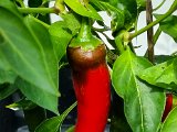 20220714_084713.jpg
