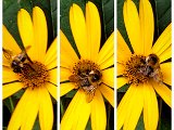 20220811_185338.jpg