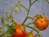 20220823_084406.jpg