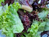 20220902_181829.jpg
