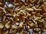 20220903_082724.jpg