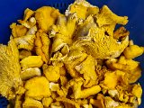 20220904_175939.jpg