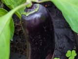 20220924_173115.jpg