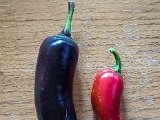 20220924_173211.jpg
