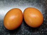 20220927_005422.jpg