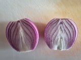 20220930_170619.jpg