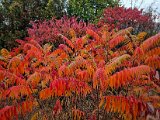 20221014_094042.jpg