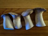 20221014_182222.jpg