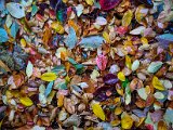 20221015_163124.jpg